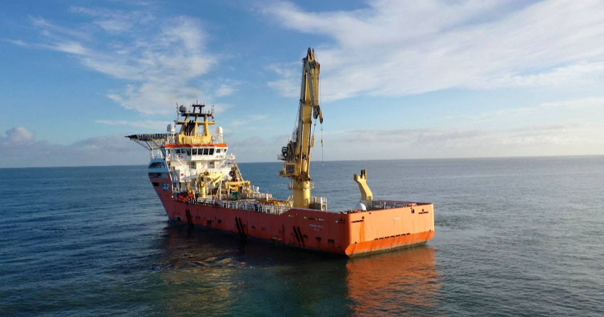 Watch Seven Sharp Divers off Taranaki Coast working to repair natural ...