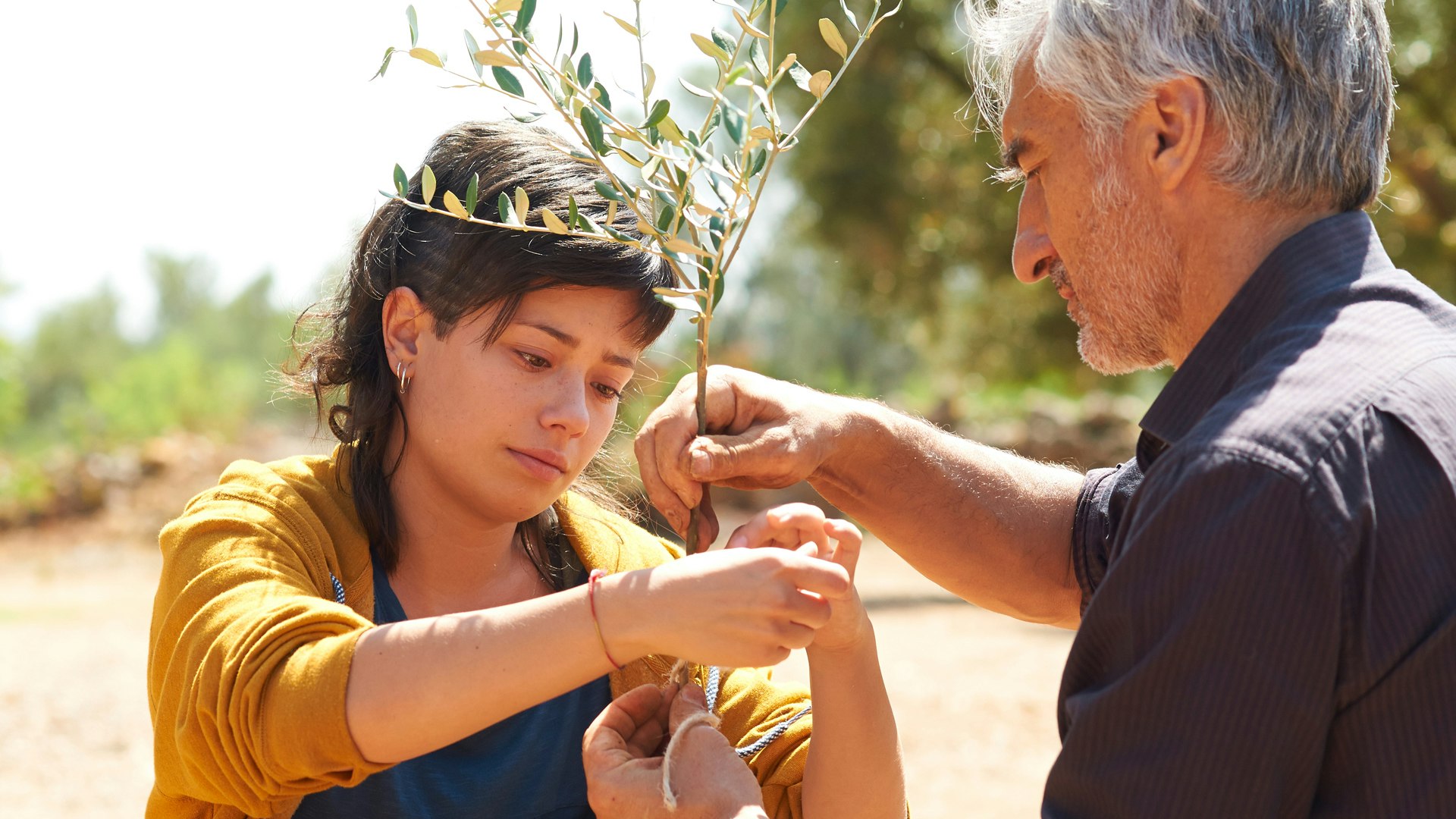 Watch The Olive Tree S1E1  TVNZ OnDemand