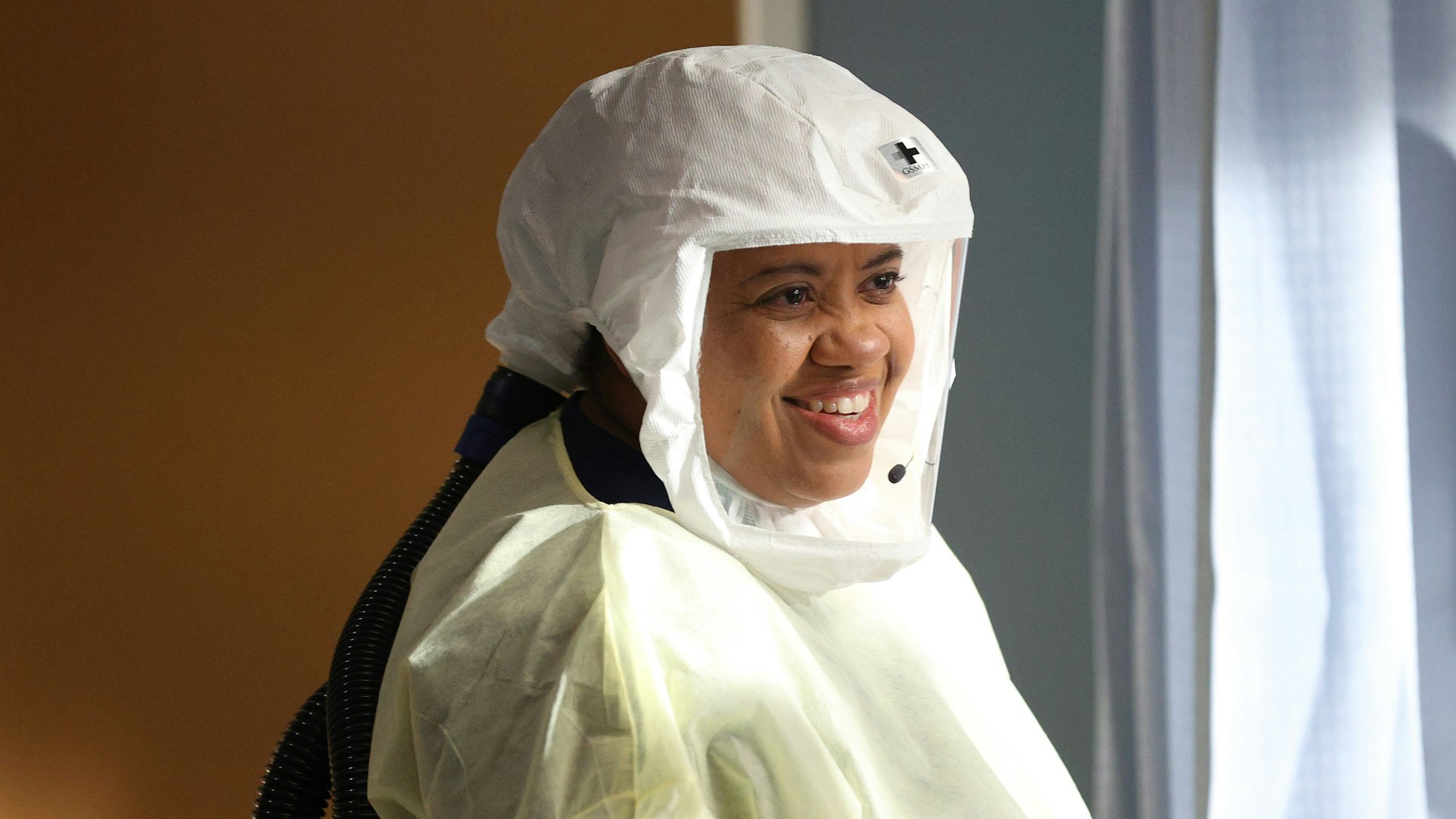 greys anatomy 17x12 assistir