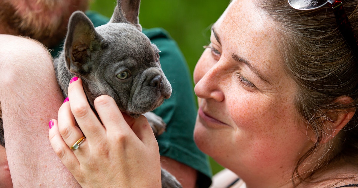 Watch The Dog House S2E1 TVNZ OnDemand