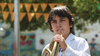 Delfín